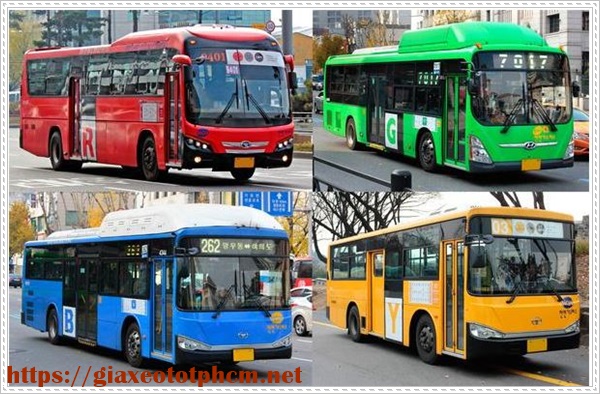 xe bus cho du học h&agrave;n quốc