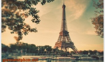  Điều khiến bạn muốn học tiếng Pháp là gì?