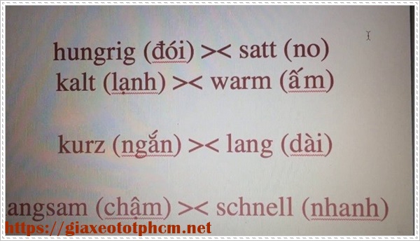 học tiếng đức giỏi