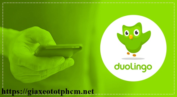 học tiếng ba lan với duolingo